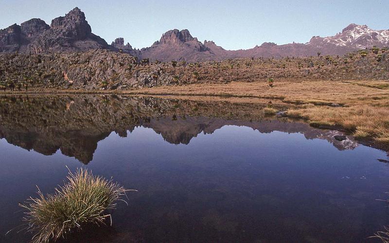 WT 1400 215-36 Kenya.jpg